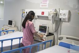 Tahun Indonesia dan WHO Mei diskusikan status endemi