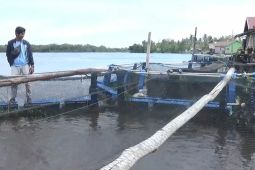 DPRD harapkan PPL Pertanian dan perikanan turun langsung kelapangan