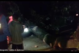 Angin kencang landa selatan Sukabumi
