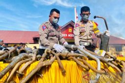 Kasus kecelakaan lalu-lintas di Aceh Barat naik 10,8 persen di 2022