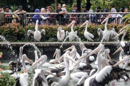 Taman Margasatwa Ragunan dikunjungi 8.509 orang