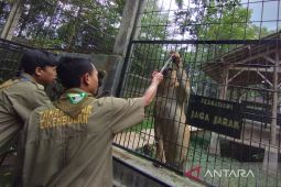 Taman satwa Garut jadi pilihan wisatawan pada libur tahun baru
