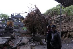 Angin kencang, pohon bertumbangan