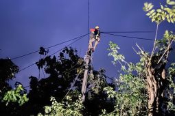 PLN Bali: enam titik jaringan listrik lumpuh akibat cuaca ekstrem