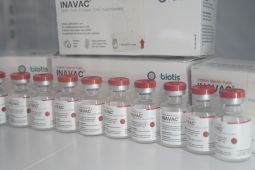 Unair kirimkan 1,22 juta dosis InaVac ke Kemenkes RI