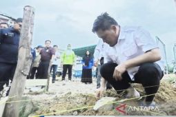 Pemkab Bangka Barat-PT Timah membangun mushalla Pasar Parittiga