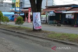 Pemprov Bengkulu anggarkan Rp50 miliar untuk perbaikan jalan