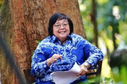 Luas penanaman mangrove capai 1.210 hektare pada 2022