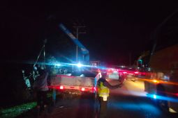 Hindari ternak mati di jalan, mobil penumpang tabrak pengendara