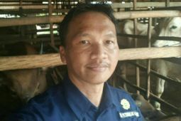 Produksi padi Kabupaten PPU mencapai 44.070 ton GKG