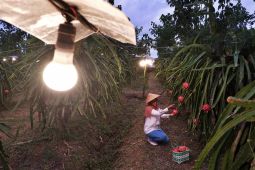 Pemerintah putuskan tarif listrik tetap, PLN siap dorong ekonomi dengan listrik andal