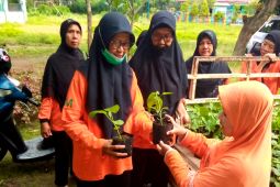Pemkot Kediri bagikan 1.000 bibit sayur ke sekolah