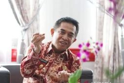 Pemkot Banjarmasin rancang dua jembatan lagi di Sungai Martapura