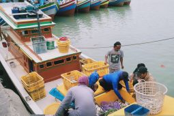 Tangkapan ikan nelayan Sungailiat capai 4.000 ton lebih di tahun 2022