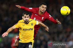 Liverpool bermain imbang 2-2 atas Wolves