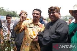 Kecamatan Cikakak dijadikan daerah pusat durian unggul Kabupaten Sukabumi