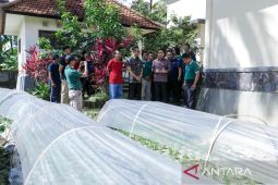 Balai Benih Utama Badung optimalkan produksi bibit untuk petani