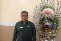 Mulai 2023, Dinkes Bali tes HIV/AIDS kepada calon pengantin