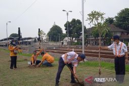 KAI Cirebon giatkan tanam pohon di sekitar stasiun