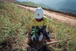 Bersama Lestarikan NTB Melalui Penanaman Pohon