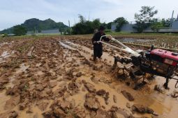 Anggota DPR Dedi Mulyadi bagikan traktor melalui lomba "ngawuluku"