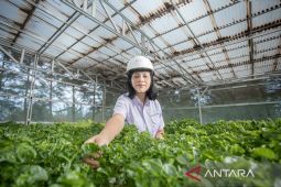 Tahun 2022, Realisasi Reklamasi TINS Capai 100 Persen, Lahan Bekas Tambang Ditata Jadi Lokasi Pembangunan Sekolah