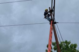 Sistem kelistrikan di Tanimbar pulih 100 persen pascagempa magnitudo 7,9