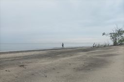 Pantai Senipah di Kabupaten Paser miliki potensi wisata