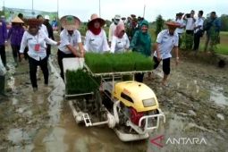 Pemkab Barsel tanam perdana padi biofortifikasi untuk bantu tekan stunting
