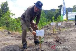 Capaian reklamasi lahan bekas tambang PT Timah melebihi target