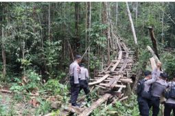 Polisi gencarkan patroli cegah pembalakan hutan lindung di Bengkayang