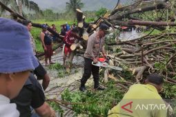 Kapolres Gorontalo Utara imbau warga waspadai pohon tumbang
