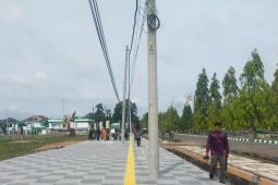 Pemkab Batanghari akan lakukan pemindahan jaring listrik