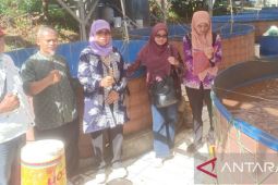 Dinas Perikanan Sukabumi gandeng ponpes untuk kembangkan budidaya sidat