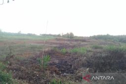 Mukomuko minta petani tidak alihfungsikan sawah jadi sawit