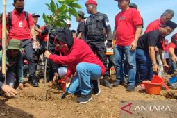 Risma dan kader PDIP tanam pohon di tepian sungai Kalimalang Bekasi