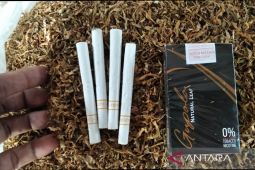 Rokok berbahan baku daun talas ciptaan warga Pedurenan