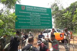 Tim gabungan patroli kawasan hutan di konsesi PKP2B PT AGM