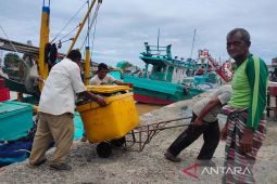 Tangkapan ikan didaratkan di PPN Idi capai 10.780 ton