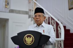 Wapres minta Baznas amanah dan profesional kelola zakat