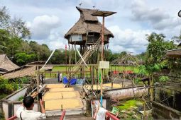 Rumah Adat Dayak Bidayuh perlu perbaikan