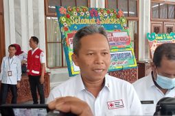 Kalsel waspadai penyakit DBD meski masih nol kasus