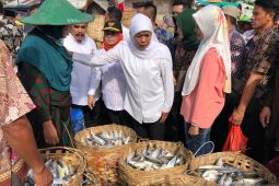 Gubernur Khofifah optimistis peningkatan kemandirian pangan tercapai