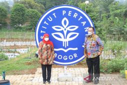 Pemprov Jatim gandeng IPB perkuat pertanian dan pembangunan desa