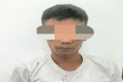 Polsek Padang Hilir ringkus pelaku pencurian