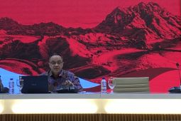 Pengamat yakin Presiden Jokowi mampu menjadi Ketua ASEAN