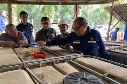 Dirjen Migas: Tambang rakyat tidak dijadikan target produksi nasional, begini penjelasannya