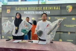 Perkosa warga Banda Aceh, Komeng ditangkap polisi