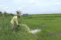 DKPP Seruyan sediakan 20 unit mesin pompa air atasi kekeringan lahan pertanian