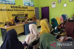 Anggota DPRD Kalsel prihatin kekerasan terhadap perempuan dan anak